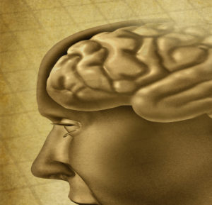 Neuro-Based Approaches