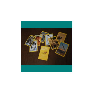 Trauma Sensitive Parenting Cards - Spanish