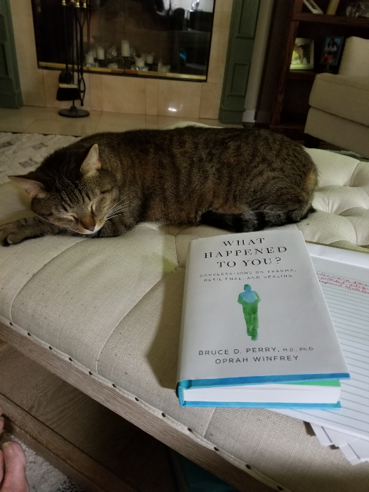 ATN Member Book Study:  What Happened to You?